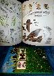  Crush, Margaret (compiling editor), THE ILLUSTRATED BOOK OF NATURE A seasonal guide to the habitats of the British Isles.