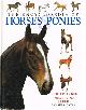  PICKERAL, TAMSIN, The Encyclopaedia of Horses and Ponies