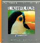 0521362059 BROOKE, MICHAEL;TIM BIRKHEAD, The Cambridge Encyclopedia of Ornithology