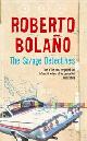 9780330445146 Bolano, Roberto, The Savage Detectives