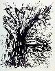 , Claude Evard ('Claudévard' 1930 à Bienne). Végétation, lithographie,  épreuve d`artiste 18/35.