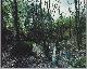 9065790748 Wout Berger, Giflandschap / Poisoned Landscape