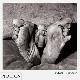  (BALLEN, ROGER). Ballen, Roger, ROGER BALLEN: OUTLAND - SIGNED BY THE PHOTOGRAPHER