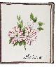  CARRIÉRE, Jan Ph., Herbarium van bloemen en planten. 1ste deel.[Watergraafsmeer, ca. 1884]. 1 volume. Small folio (22.5×20.5 cm). With 30 drawings of flowers in watercolour and ink, each with a description in Dutch on a separate leaf. The whole preceded by a title-page, a table of contents (1 page), and an introduction (2 pages). Contemporary black cloth, rebacked, modern endpapers. With: (2) CARRIÉRE, Jan Ph. Herbarium van naar de natuurgeteekende bladeren, "afdeeling boomgewassen". [Title volume 2:] Herbarium van boombladeren.Watergraafsmeer, 1884. 3 volumes. Small folio (22.5×20.5 cm). With 90 drawings of tree leaves in watercolour and ink, with a description in Dutch on a separate leaf. The first two volumes each with a title-page, a table of contents (1 page) and an introduction (1 page), and the third volume without preliminaries. Contemporary blue (vols. 1-2) and black (vol. 3) half cloth. The third volume rebacked with original backstrip laid down.