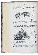  RABENHORST, Ludwig and Georg WINTER., Kryptogamen-Flora von Deutschland, Oesterreich und der Schweiz. Zweite Auglage ... Erster band: Pilze.Leipzig, Eduard Kummer, 1884 (Weinheim, J. Cramer, 1963). 8vo. Modern black half calf.