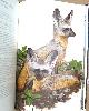 AMUCHASTEGUI, AXEL, Some Birds and Mammals of Africa. Signed Copy