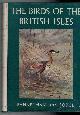  BANNERMAN, DAVID ARMITAGE; LODGE, GEORGE F [ILLUS.], The Birds of the British Isles. Volume 6. Ciconiidae; Ardeidaf; Phoenicopteridae; Anatidae