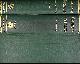  BALFOUR, FRANCIS M, A Treatise on Comparative Embryology. 2 Volume Set