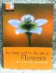  HARDER, LAWRENCE D; BARRETT, SPENCER C H, Ecology and Evolution of Flowers