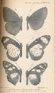  JENNINGS, A VAUGHAN; POCOCK, R I; &C, The Journal of the Linnean Society. [Zoology] Volume XXV. October 1894 - December 1896
