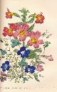  LOUDON, MRS JANE C, The Ladies Flower-Garden of Ornamental Annuals