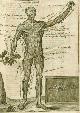  BROWNE, JOHN, Myographia Nova: Or a Graphical Description of All the Muscles in the Human Body, As They Arise in Dissection: Distributed in Six Lectures... . Together with a Philosophical and Mathematical Account of the Mechanism of Muscular Motion