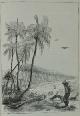  WATERTON, Charles., Wanderings in South America, the North-West of the United States, and the Antilles, in the years 1812, 1816, 1820, & 1824. With original instructions for the perfect preservation of birds, etc. for cabinets of natural history. New edition. Edited, with biographical introduction and explanatory index, by J.G. Wood.