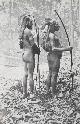  ROUX, C.C.F.M. le., De bergpapoea's van Nieuw Guinea en hun woongebied.