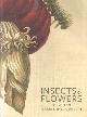 9780892369294 Brafman, David & Stephanie Schrader, Insects and Flowers: The Art of Maria Sibylla Merian.