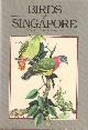 9971400995 Hails, Christopher, Birds of Singapore.