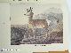 087636055X STEWART, GAIL (EDITOR); PEALE, CHARLES WILSON & BARTRAM, WILLIAM (ARTISTS), The Cabinet of Natural History and American Rural Sports with Illustrations