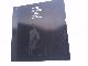 0887700667 Beissel, Henry, Face on the dark. Poems
