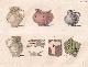  L'Abbe Cochet, Hon. F.S.A., Sepultures Chretiennes de la periode Anglo-Normande trouvees a Bouteilles pres Dieppe, en 1857. An uncommon original article from the journal Archaeologia, 1857.