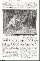  Major Jack Allen & Elliot Bailey, Trapping Wild Animals Alive. Using lassoes, chain & bare hands to take animals alive. This is an uncommon original article from the Wide World Magazine, 1923.