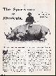  R.W. Bell, The Sportsman in Rhodesia : big-game hunting. An uncommon original article from the Wide World Magazine, 1912.
