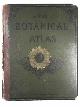  M'ALPINE, D., The botanical atlas; a guide to the practical study of plants, containing representatives of the leading forms of plant life, with explanatory letterpress