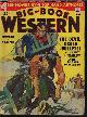  BIG-BOOK WESTERN (HARRY F. OLMSTED; JAMES SHAFFER; CLIFTON ADAMS; FRANCIS H. AMES; ROD PATTERSON; D. B. NEWTON; JOHN EDWARD DALTON; JAMES CHARLES LYNCH; WAGGENER & ROBBINS), Big-Book Western Magazine: June 1950