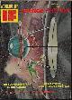  IF (ROBERT MOORE WILLIAMS; ROBIN SCOTT; JAMES BLISH; HAL CLEMENT; H. B. MICHAEL; CARL JACOBI; LIN CARTER), If Worlds of Science Fiction: August, Aug. 1966
