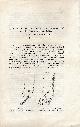  RETZIUS, GUSTAF (Transl.) & WELCKER, HERMAN:, Om den konstgorda missbildningen af de kinesiska qvinnornas fötter. (About the artificial deformity of Chinese women's feet). Stockholm 1872.