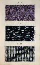  [JAPANESE MEN KIMONO SAMPLES]., "Iwa no Tamotsu". [A manual with 110 stylish textile samples]. No date, ca 1930.