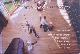  BARNAS, MARIA., Doordeweeks/On A Weekday - Egm Architecten. [HARDCOVER]