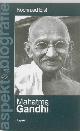  ELST, KOENRAAD., Mahatma Gandhi, Aspekt biografie onder redactie van Perry Pierik.