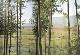  STULTIENS, ANDREA., Low Land - High Hills.