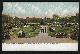  Postcard, Flowergradens South from Conservatory in Lincoln Park, Chicago, Illinois
