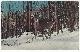  Postcard, Deer in Snow, Greetings from Lake George, New York