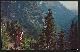  Postcard, Thunderbird Mountain, Glacier National Park, Montana