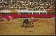  Postcard, Bull Fight Tijuana, Mexico
