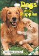  Long, Jack, Dogs and Puppies Includes Tips on Animal Care
