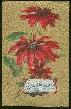  Postcard, Gold Postcard of Poinsettias Offering Good Wishes