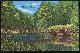  Postcard, Lake, Bellingrath Gardens, Mobile, Alabama