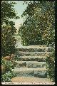  Postcard, Flowery Nook in Westlake Park, Los Angeles, California