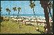 Postcard, Beach and Palms Daytona Beach, Florida