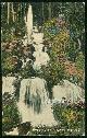  Postcard, Lower Falls, Shasta Falls, Oregon