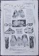  Advertisement, 1917 Ladies Home Journal Newest Bridal Veil Arrangements Page