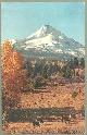  Postcard, Mt. Hood, Oregon