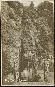  Postcard, Real Photo Postcard of Cliff Railway, Lynmouth, England