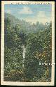  Postcard, Falling Springs Shenandoah National Park, Virginia