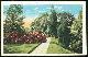  Postcard, Walk in Middleton Gardens, Charleston, South Carolina