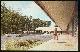  Postcard, Oaks Motel, Greensboro, North Carolina