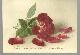  Christmas, Victorian Good Wish for New Year Card with Red Rose